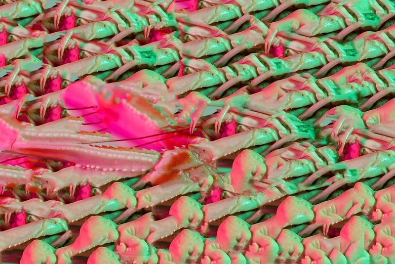 © Julie Tixier - Image from the Extraordinary Conceptions photography project