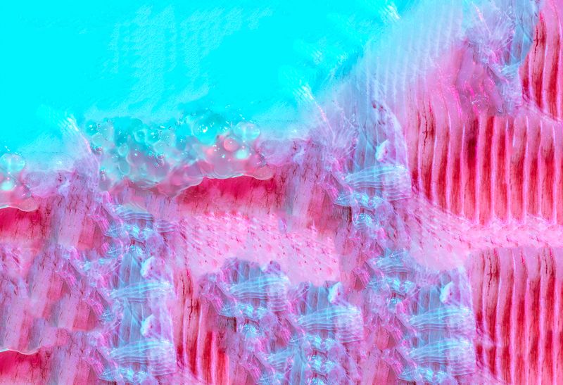 © Julie Tixier - Image from the Extraordinary Conceptions photography project