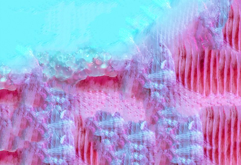 © Julie Tixier - Image from the Extraordinary Conceptions photography project