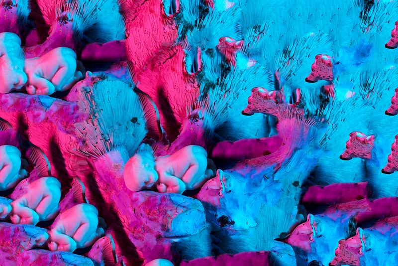 © Julie Tixier - Image from the Extraordinary Conceptions photography project