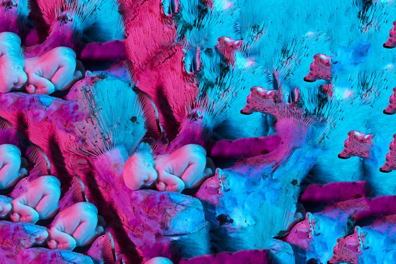 © Julie Tixier - Image from the Extraordinary Conceptions photography project