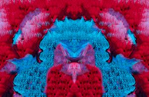 Extraordinary Conceptions