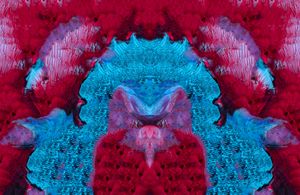 Extraordinary Conceptions