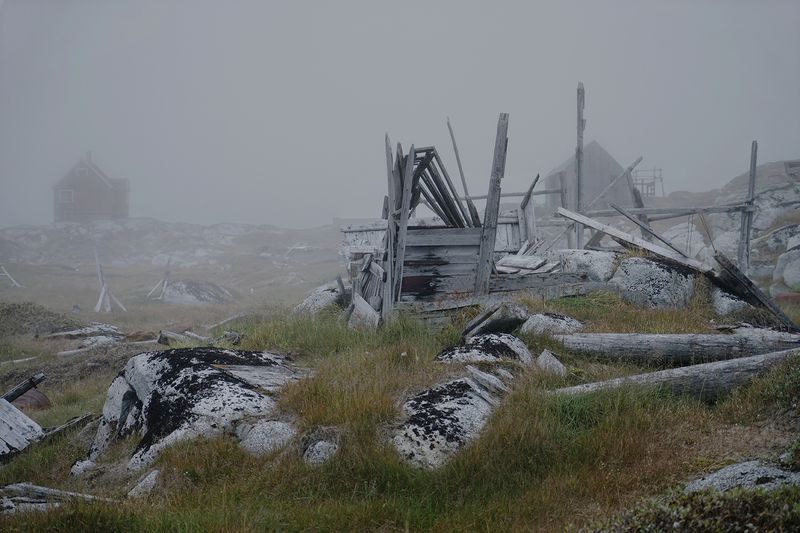 © Melodie Lamotte d'Incamps - 5 - What's left