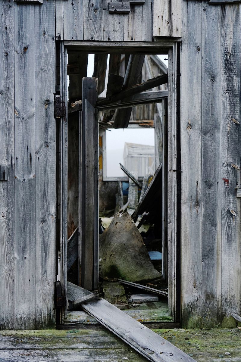 © Melodie Lamotte d'Incamps - 3 - Two fishing hooks forgotten at the entrance