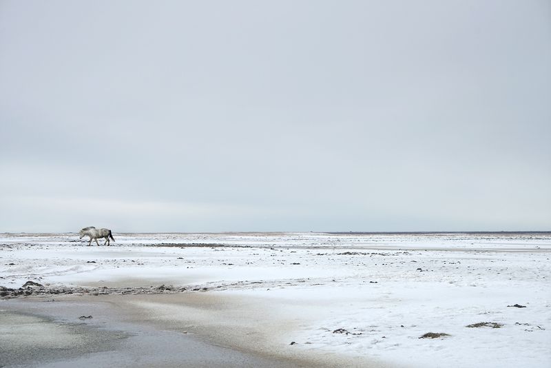 © Melodie Lamotte d'Incamps - Image from the Nowhere diary photography project