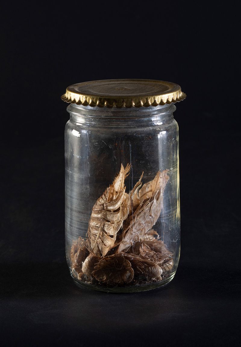 © Marcos Goymil - Image from the Antartic Museum photography project