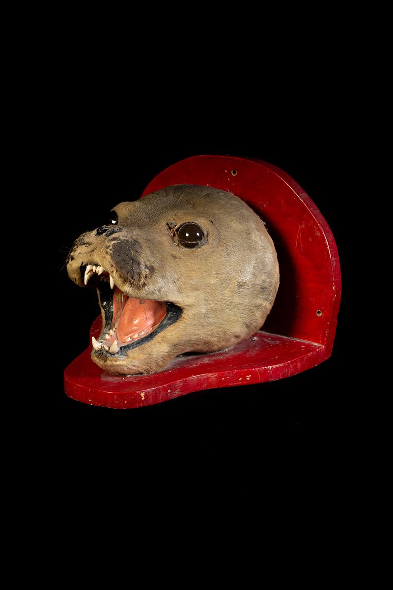 © Marcos Goymil - Image from the Antartic Museum photography project