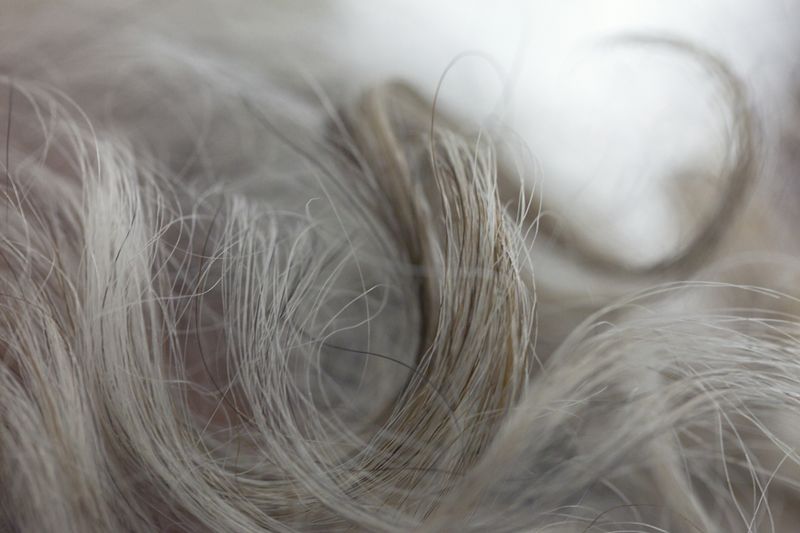 © Muriel Hasbun - Image from the si je meurs / if I die photography project