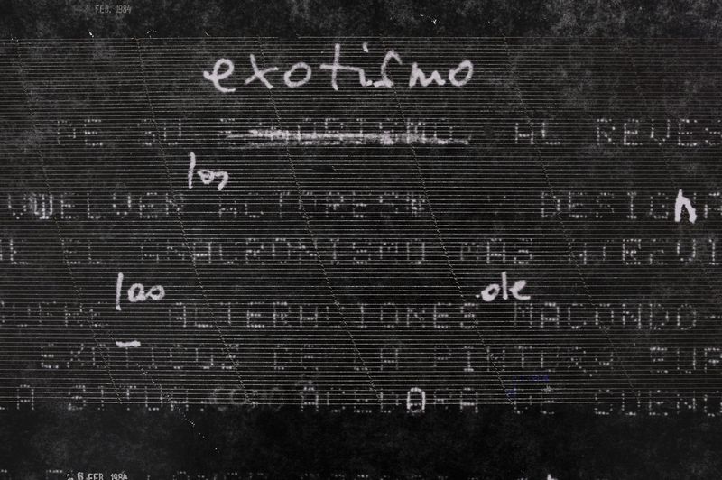 © Muriel Hasbun - Pulse: Exotismo al revés (Homage, RMV and Janine Janowski), 2019.