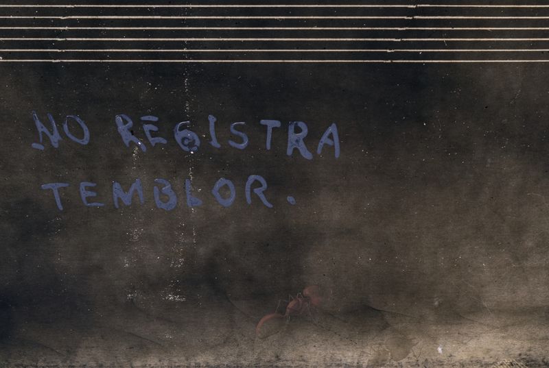 © Muriel Hasbun - Pulse: Seismic Registers 2020.02.27.019 (No registra temblor or Homage, Armando Campos), 2020