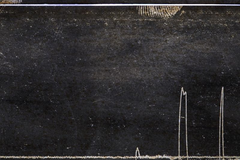 © Muriel Hasbun - Pulse: Seismic Register 2020.02.26.142 (Peace, January 1992), 2020