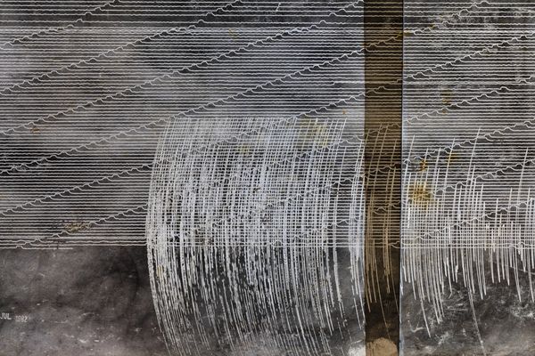 © Muriel Hasbun - Pulse: Seismic Register 2020.02.28.063, 2020