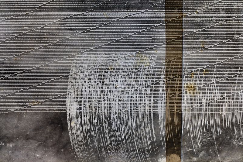 © Muriel Hasbun - Pulse: Seismic Register 2020.02.28.063, 2020