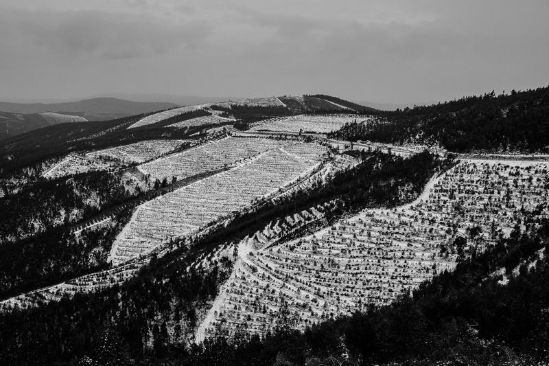 © Ricardo Lopes - Image from the Interior photography project