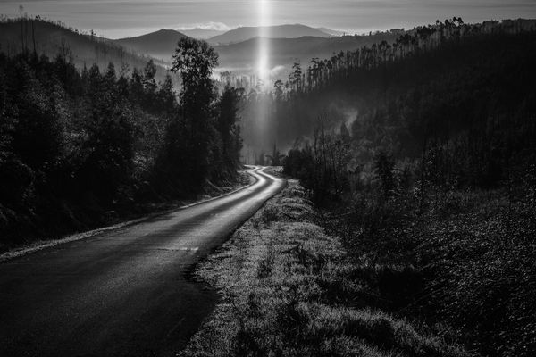 © Ricardo Lopes - Image from the Interior photography project