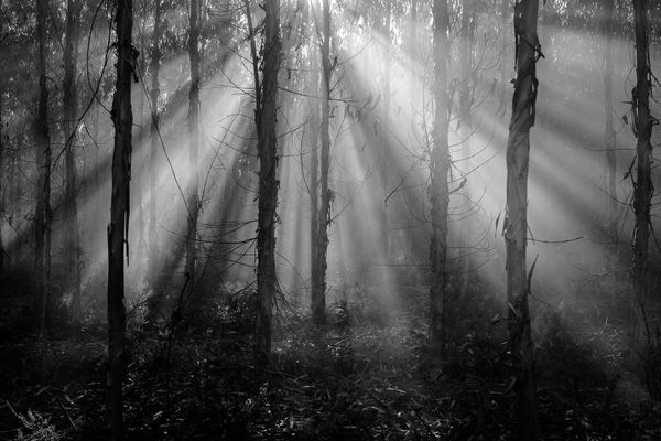 © Ricardo Lopes - Image from the Interior photography project