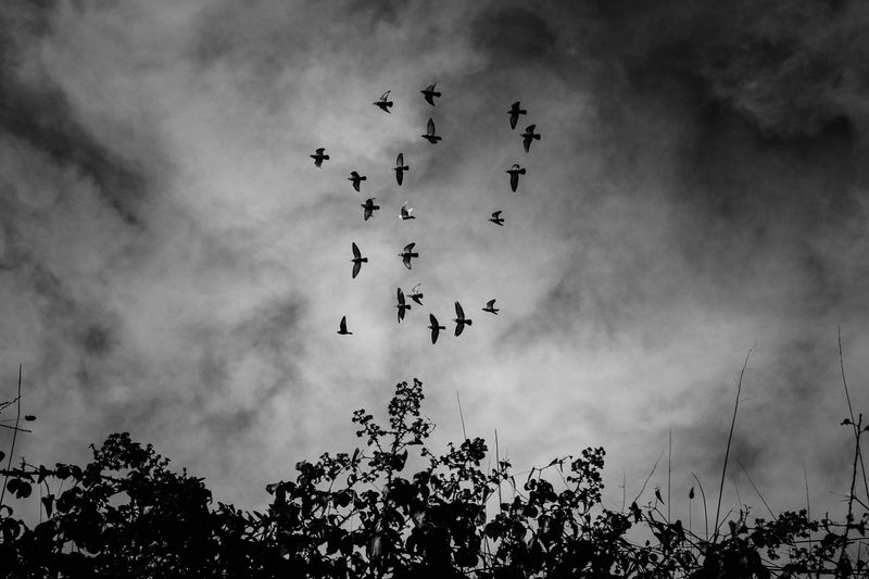 © Ricardo Lopes - Image from the Interior photography project