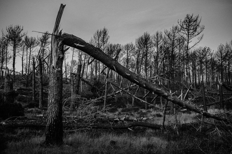© Ricardo Lopes - Image from the Interior photography project