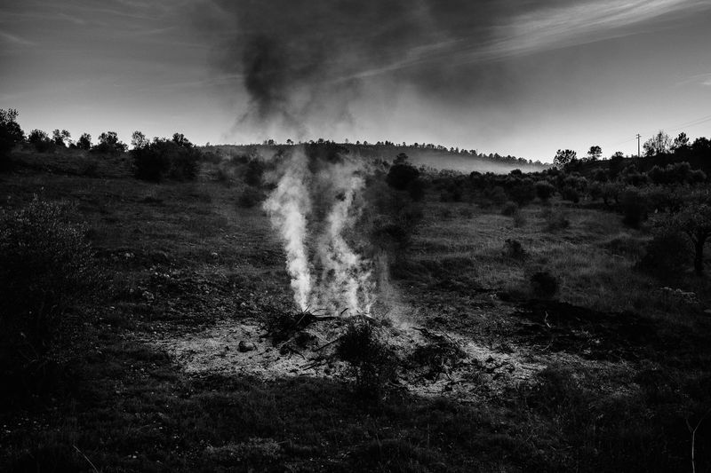 © Ricardo Lopes - Image from the Interior photography project