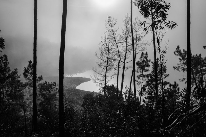 © Ricardo Lopes - Image from the Interior photography project