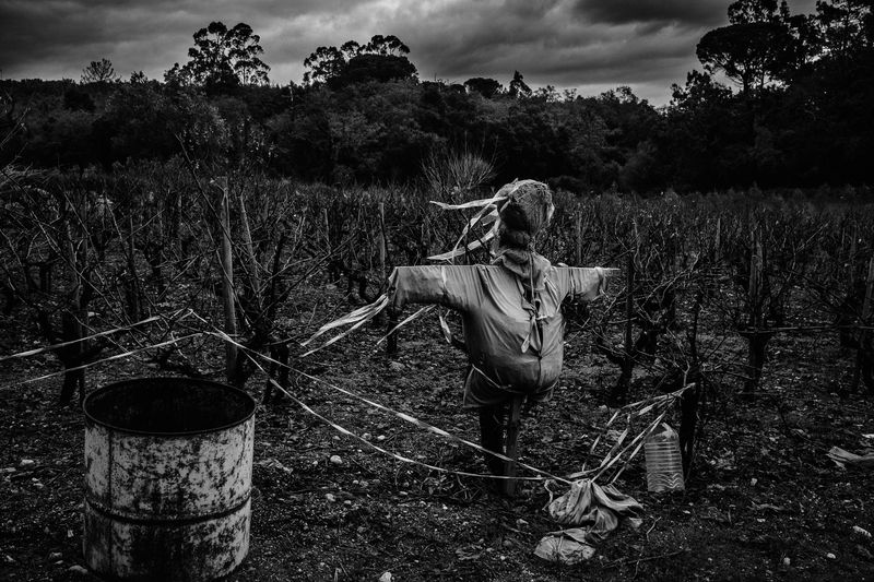 © Ricardo Lopes - Image from the Interior photography project