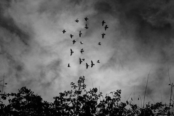 © Ricardo Lopes - Image from the Interior photography project