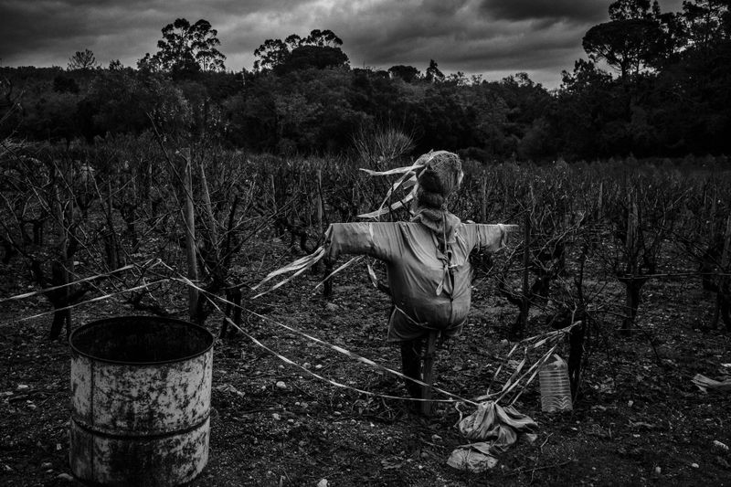 © Ricardo Lopes - Image from the Interior photography project