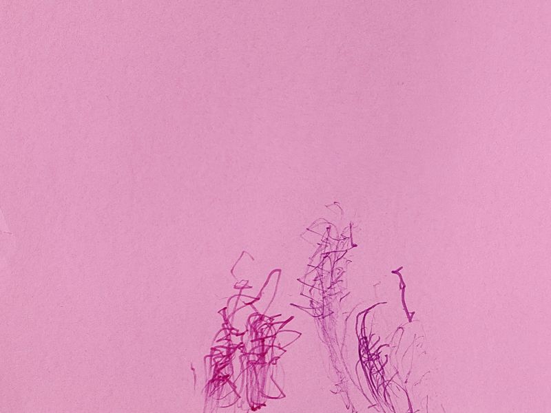 © Madeline Swainhart - Image from the Caring for Zora: a lesson on how to Play photography project