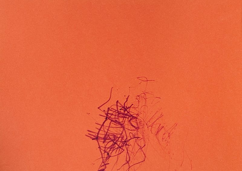 © Madeline Swainhart - Image from the Caring for Zora: a lesson on how to Play photography project