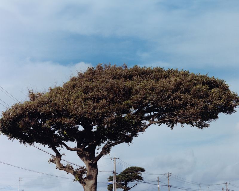 © Youn Jung Kim - Image from the Jeju Haenyeo photography project