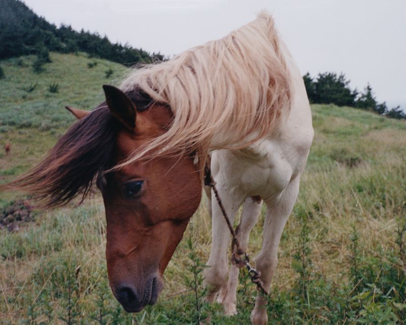© Youn Jung Kim - Image from the Jeju Haenyeo photography project