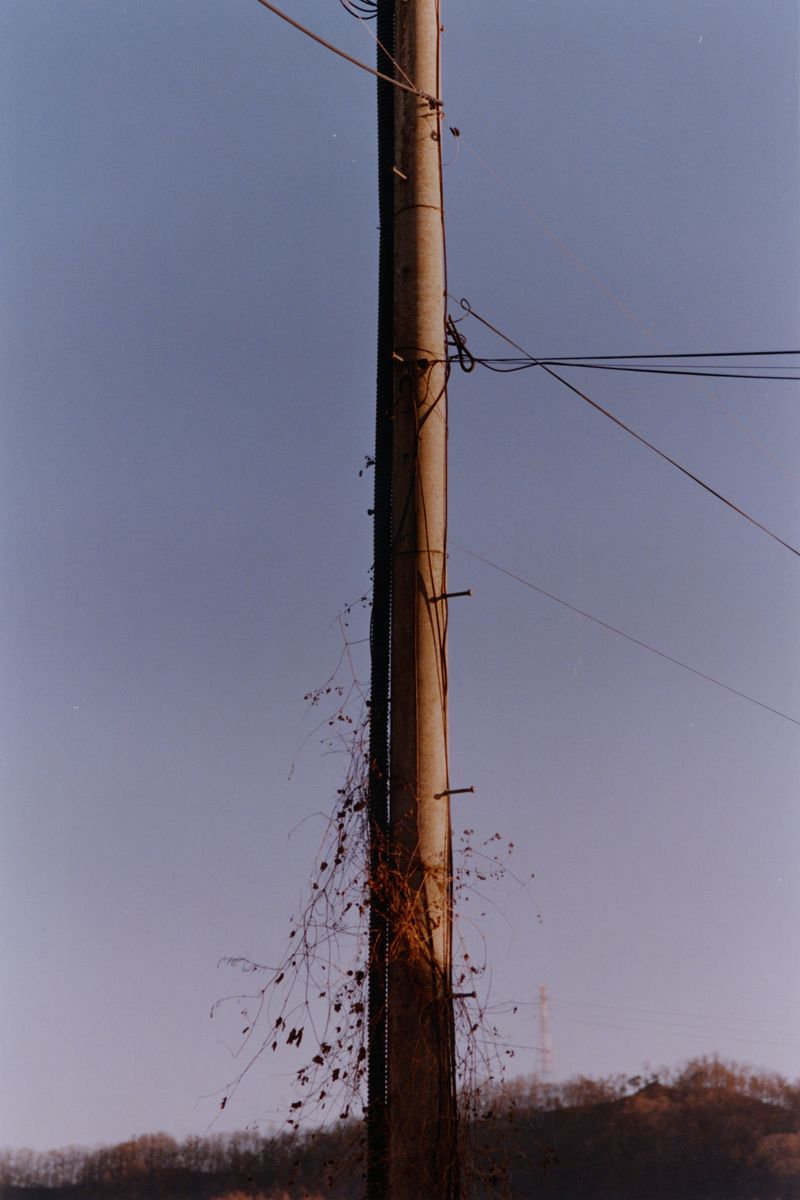 © Youn Jung Kim - Image from the Honey, I am not used to this real love photography project