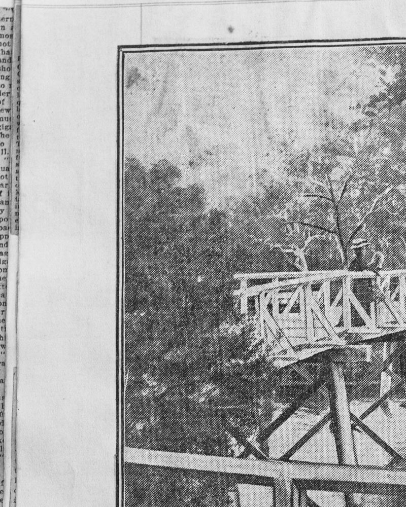 © Kai Wasikowski - Newspaper archive #2 (Royal National Park), 2022 inkjet print, 24 x 19 cm