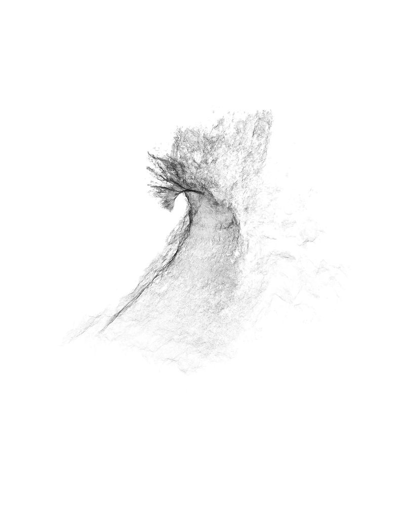 © Kai Wasikowski - Path #1 (walking scan), 2022 143 x 110 cm