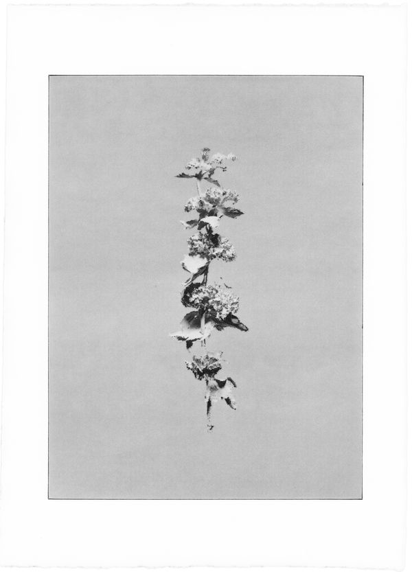 © Kai Wasikowski - Image from the Moments of Love and Apathy photography project