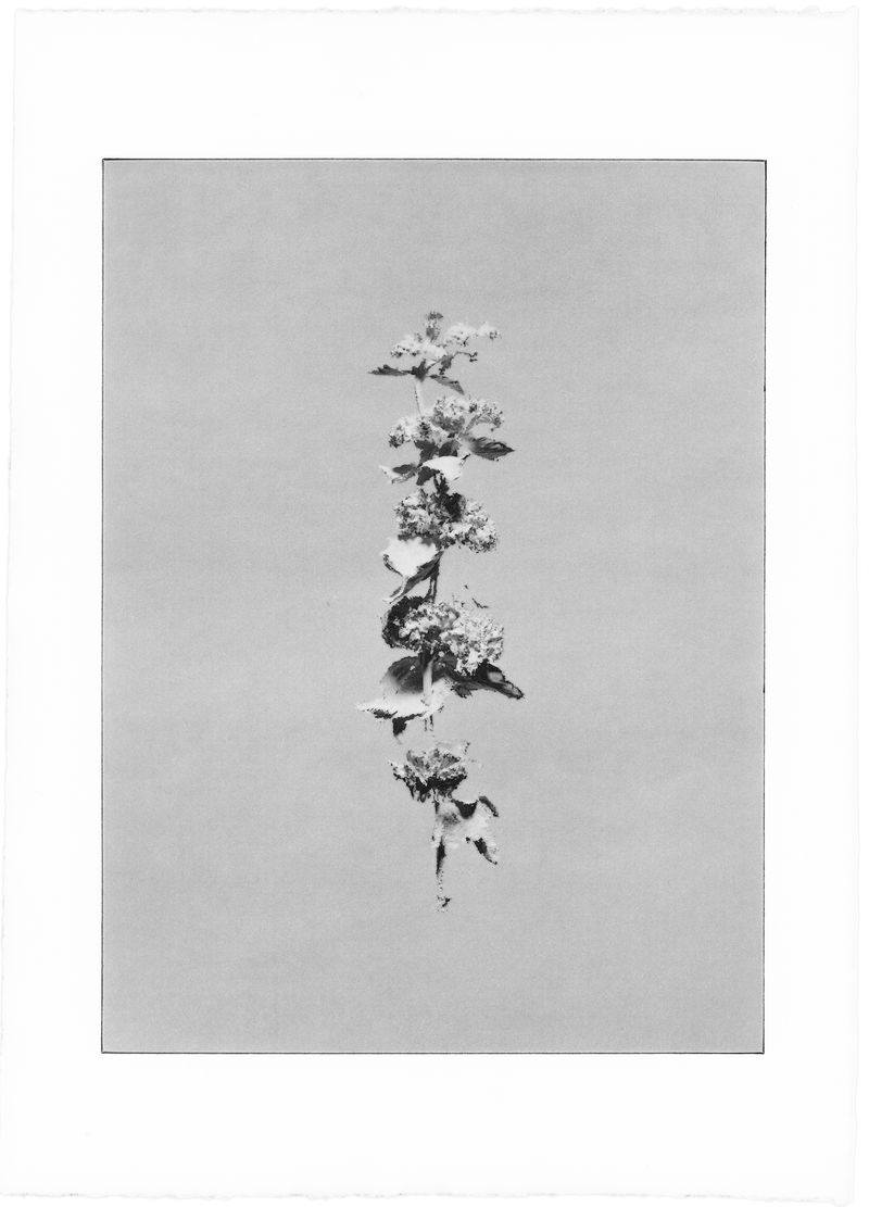 © Kai Wasikowski - Image from the Moments of Love and Apathy photography project