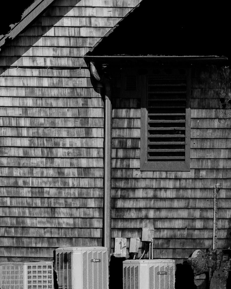 © Kai Wasikowski - The Audubon Society of Rhode Island, 2022 inkjet print, 222 x 177 cm