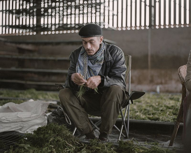 © Ksenia Burnasheva - Dan_in_the_barn