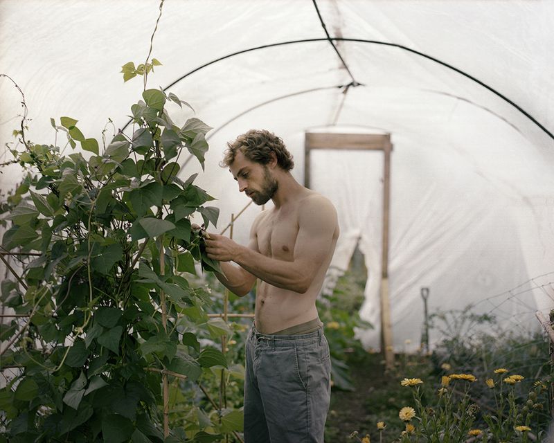 © Ksenia Burnasheva - Theo_in_the_greenhouse