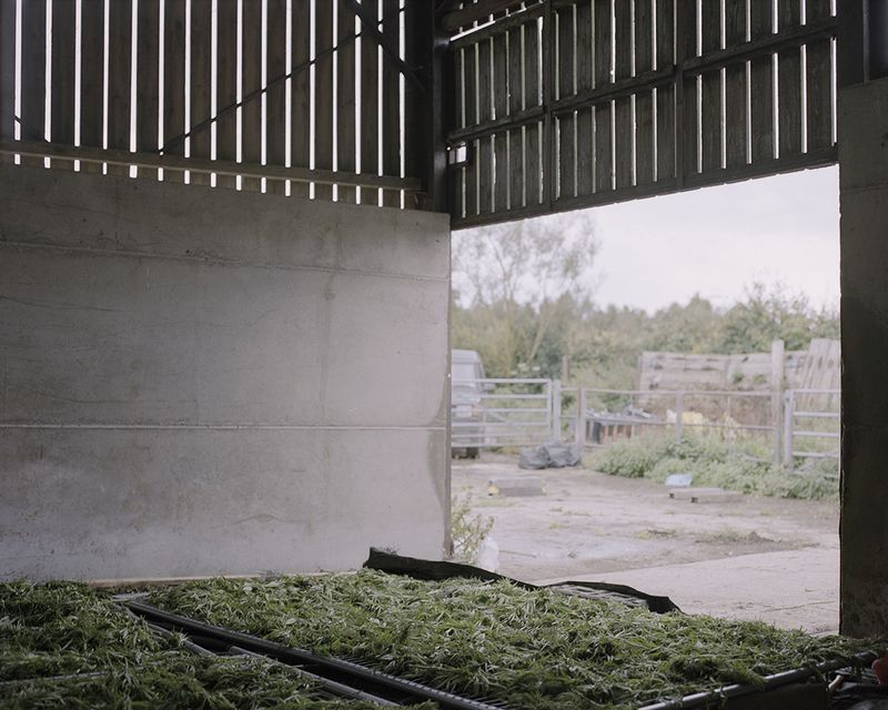 © Ksenia Burnasheva - Hempen_barn_3