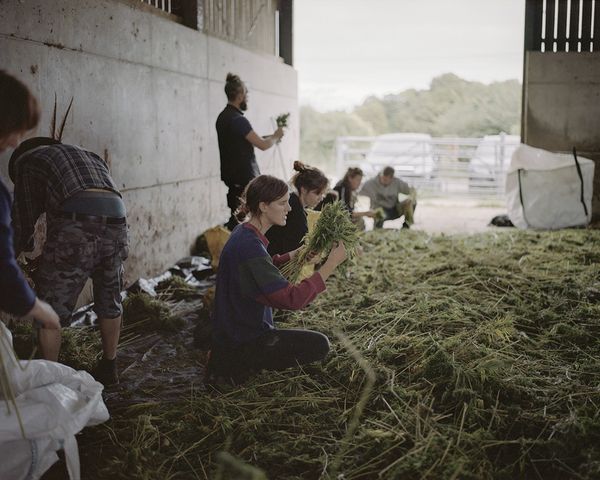 © Ksenia Burnasheva - Sofie_in_the_barn