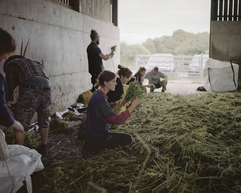 © Ksenia Burnasheva - Sofie_in_the_barn