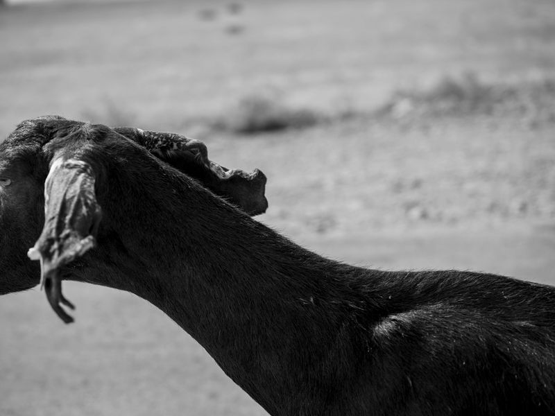 © Sara Abbaspour - Image from the Floating Ocean photography project