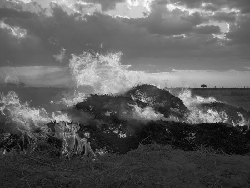 © Sara Abbaspour - Image from the Floating Ocean photography project