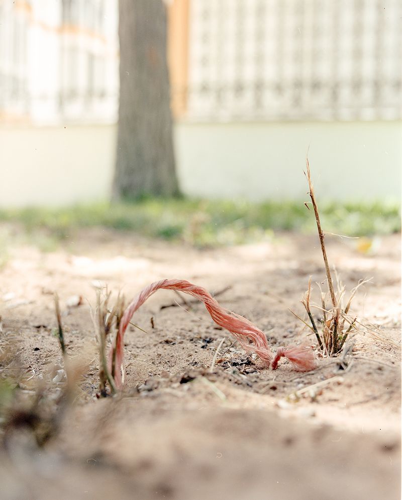 © Alba Diaz - Image from the The Pact of Silence photography project