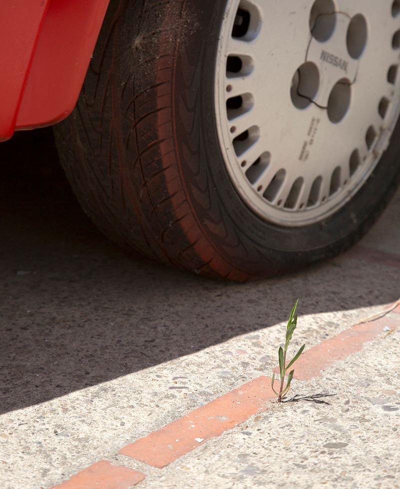 © Alba Diaz - Image from the The Pact of Silence photography project