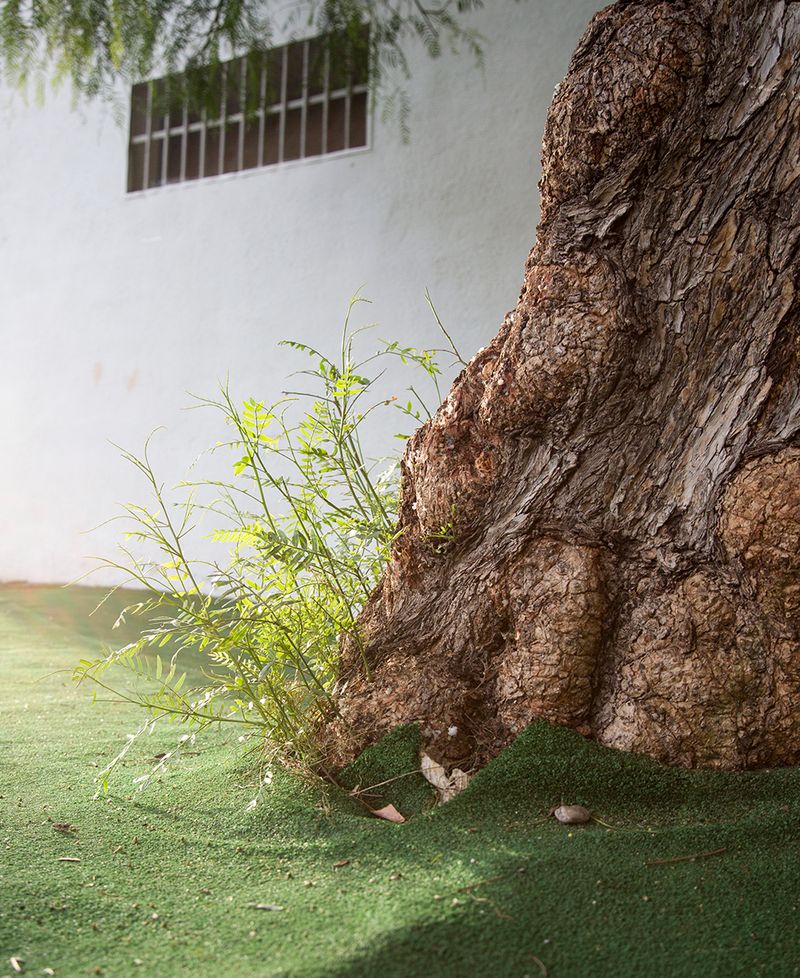 © Alba Diaz - Image from the The Pact of Silence photography project