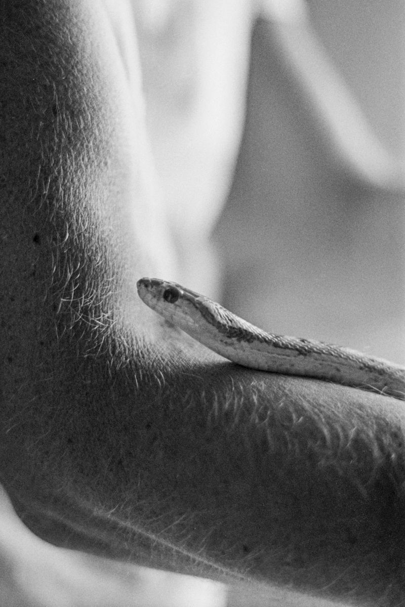 © Marie Capesius - Image from the HELIOPOLIS - under the blue shadow of the sun photography project