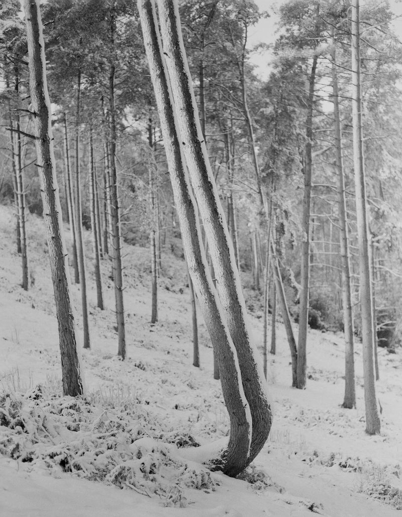 © Ana Zibelnik - Image from the We are the ones turning photography project